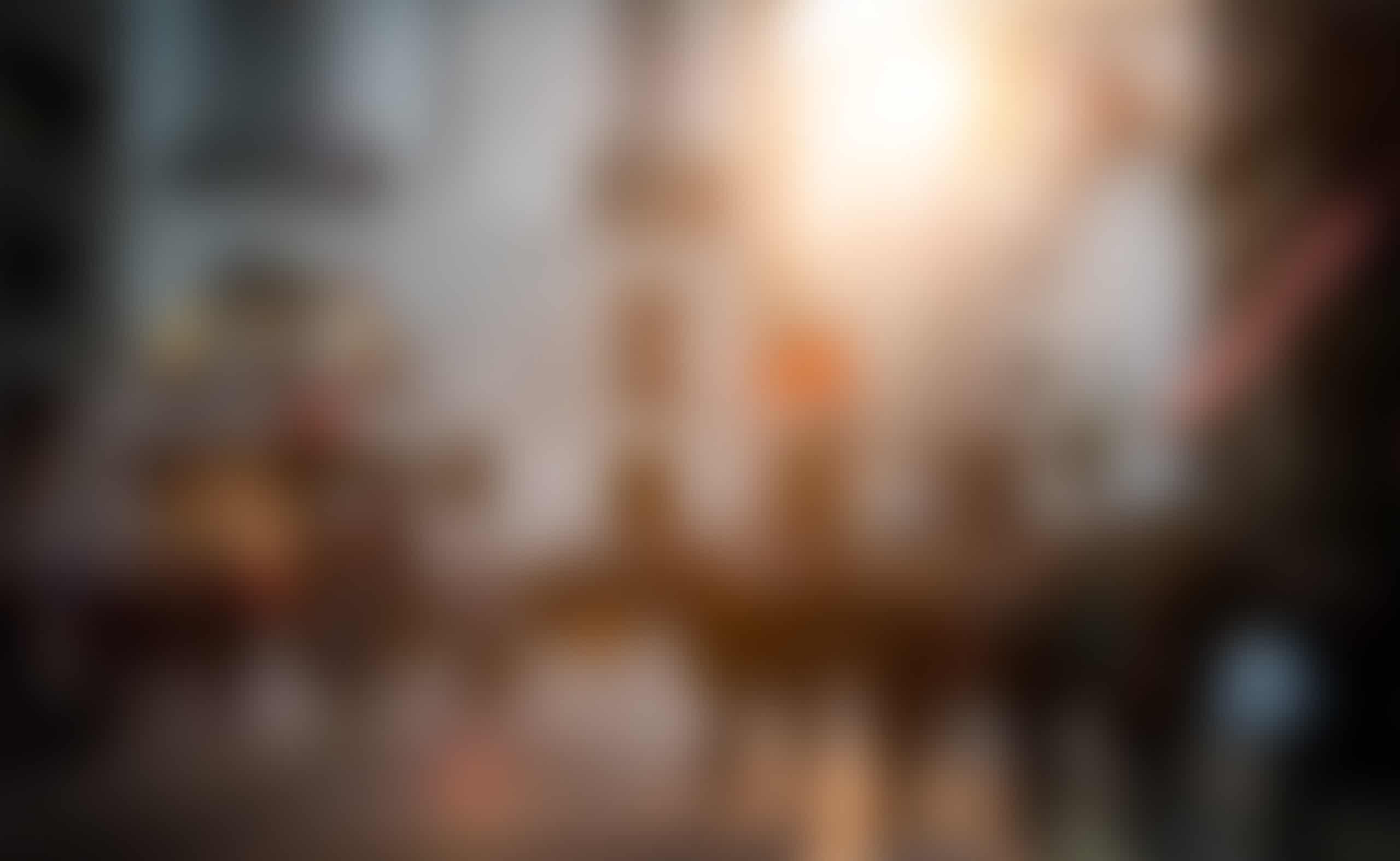 Rádio RUM em Direto