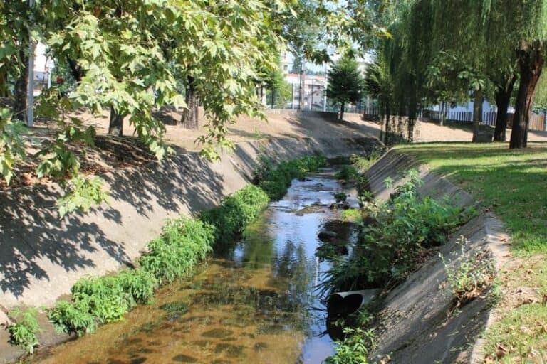 Segunda descarga no rio Este em menos de uma semana