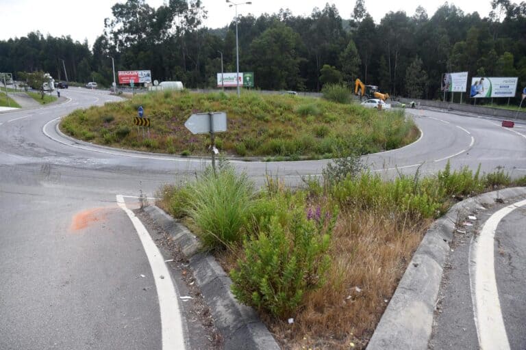 Famalicão quer bermas das estradas nacionais sem lixo