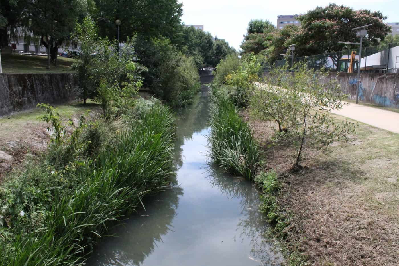 Novo atentado ambiental no Rio Este