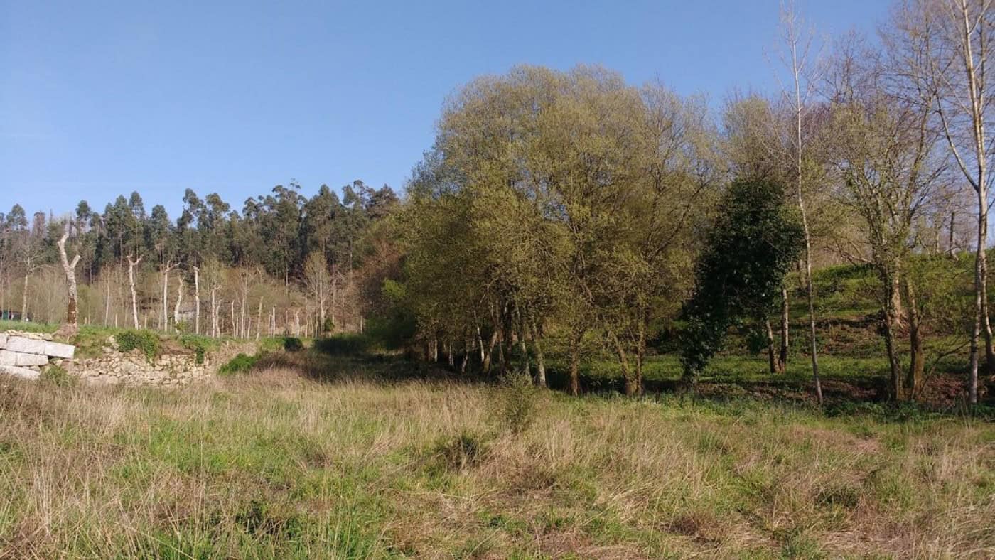 Abertas as inscrições para o Banco de Terras de Guimarães