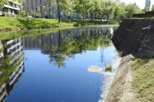 APA disponível para integrar grupo de monitorização do rio Este