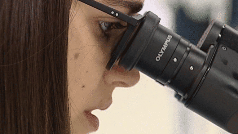 Investigadores precários à espera de novo parecer para serem integrados