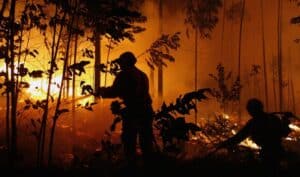 Mais de 130 bombeiros combatem fogo que começou ontem em Valença
