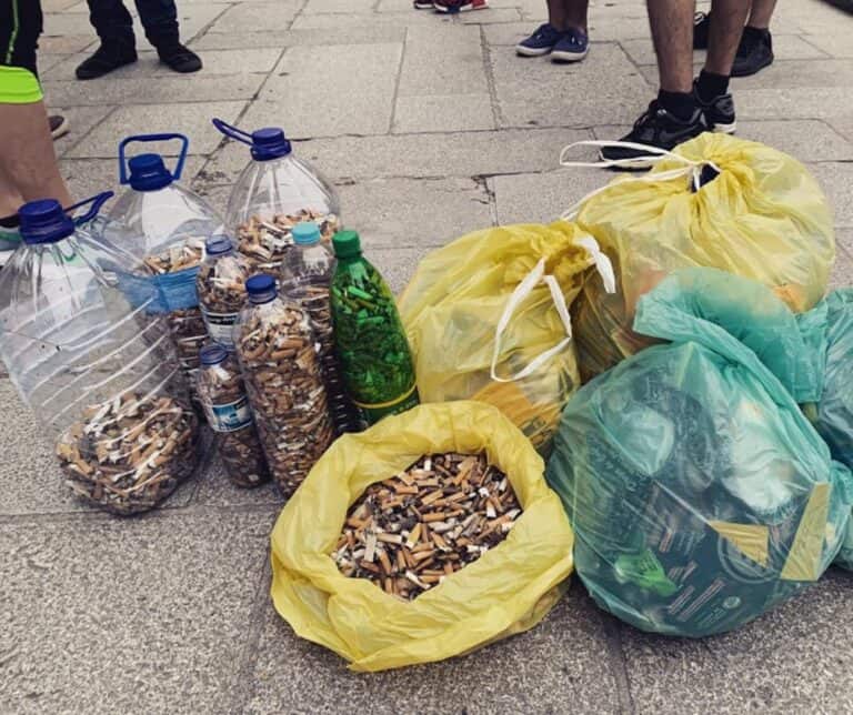 Utilizar beatas em mobiliário para animais? Braga para Todos diz que sim&nbsp;