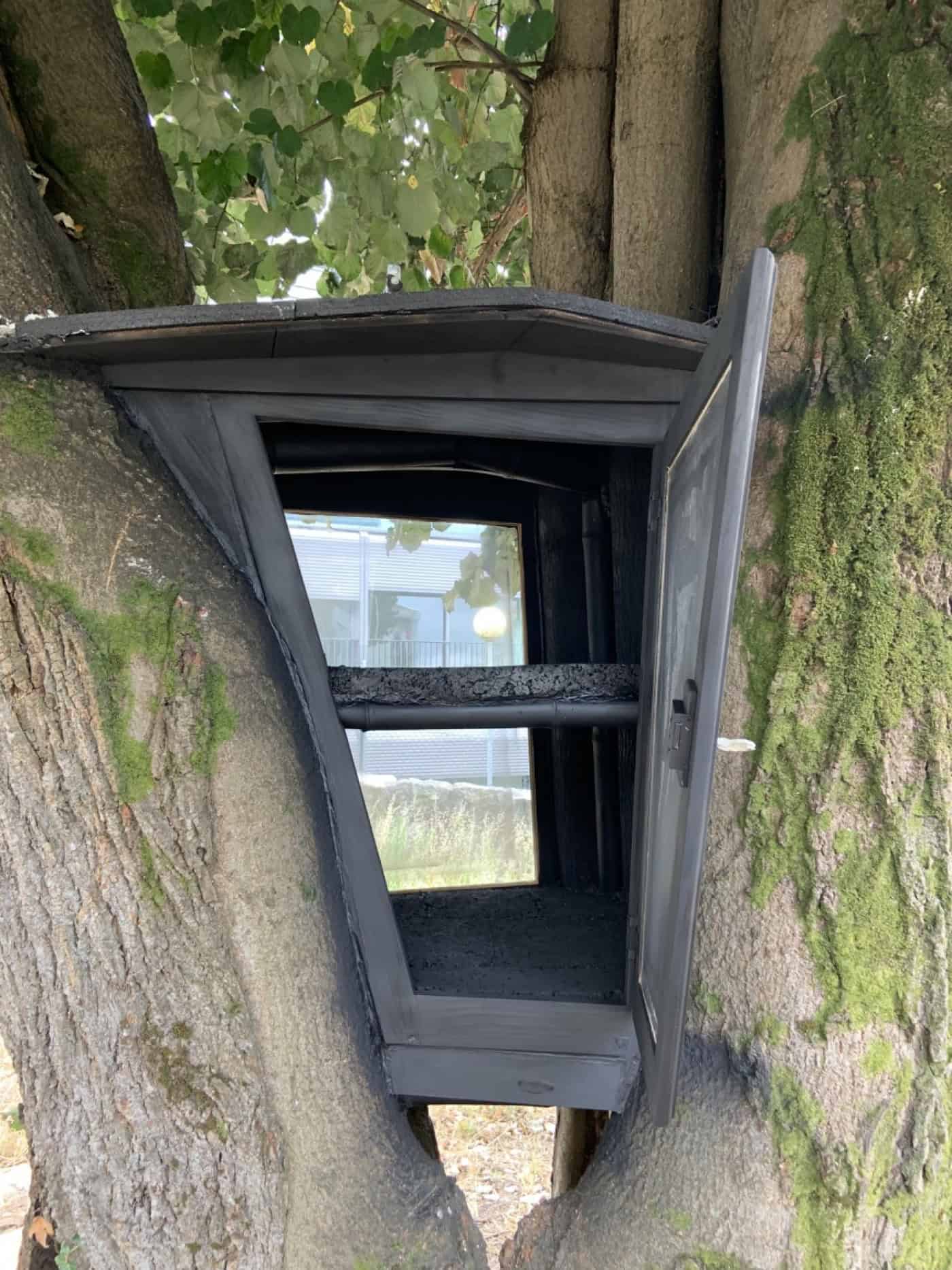 S.Victor quer incutir gosto pelos livros com "Árvore de Leitura"&nbsp;