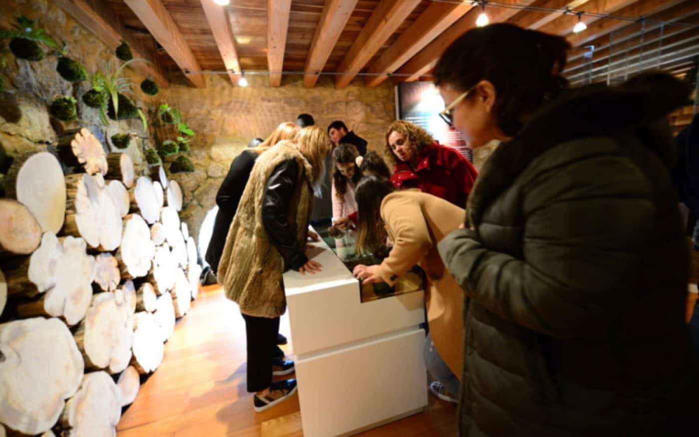 Synergia à espera de casa para Centro Interpretativo de Educação Ambiental