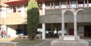 Isabel Ermida é a nova presidente ao ILCH