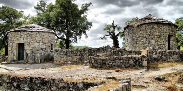 Sociedade Martins Sarmento homenageia sobreiro da Citânia