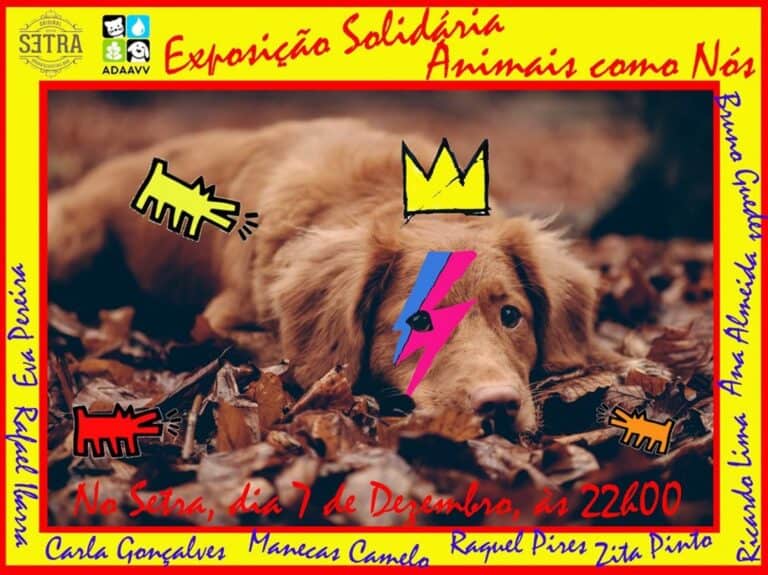 Artistas da região juntam-se em exposição para ajudar animais