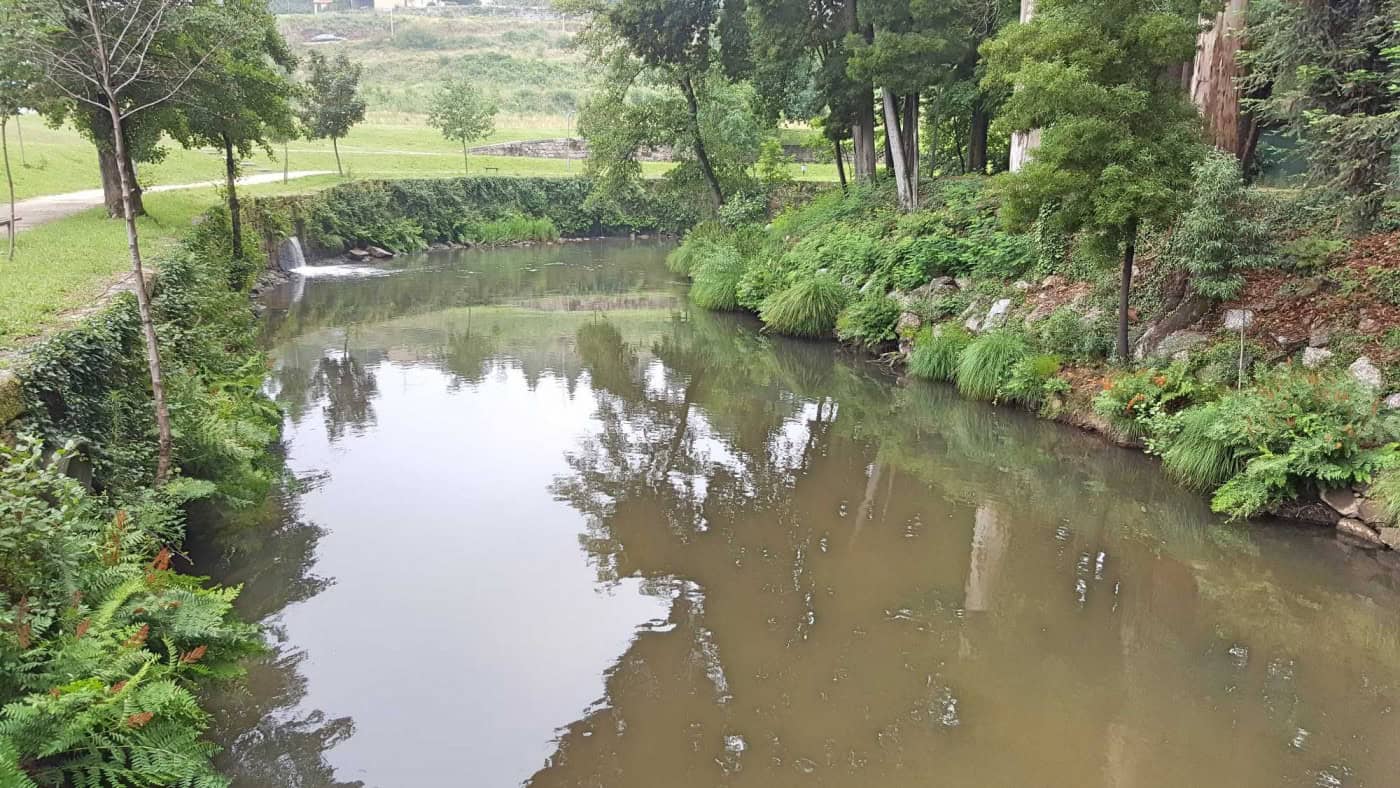 “O Rio Vizela é um exemplo do crime ambiental que tem sido cometido”