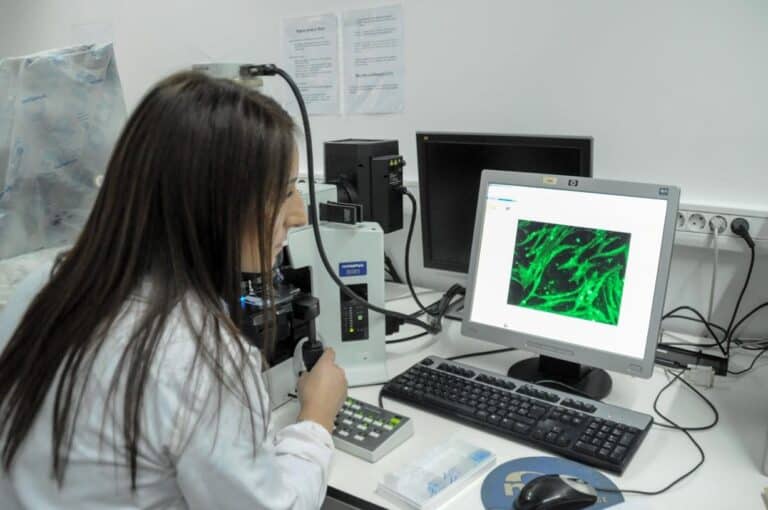 UMinho sugere terapia que controla cancro do colo do útero