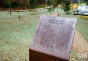 UM é uma das 50 universidades mais sustentáveis do Mundo