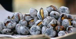 Campo da Vinha volta a celebrar S. Martinho