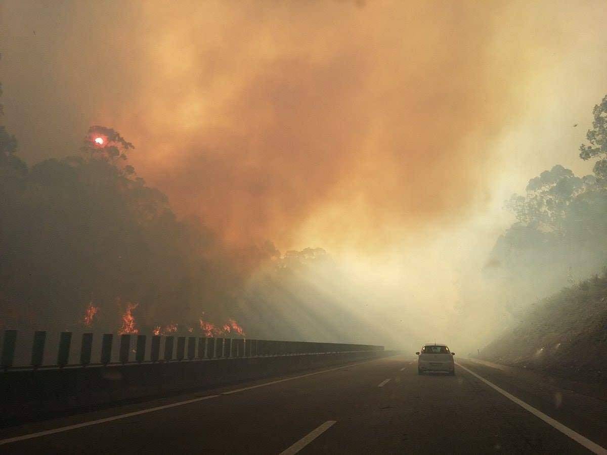 Incêndio em Esposende corta A28 nos dois sentidos