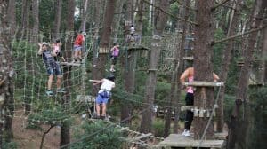 Parque Aventura. CMB lança concurso pela terceira vez