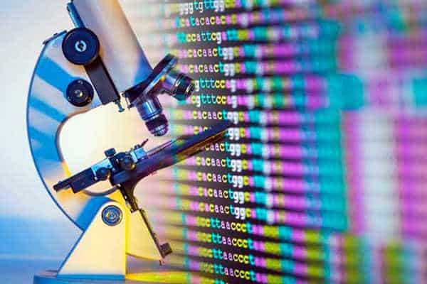 Investigadores querem Centro de Criomicroscopia no INL