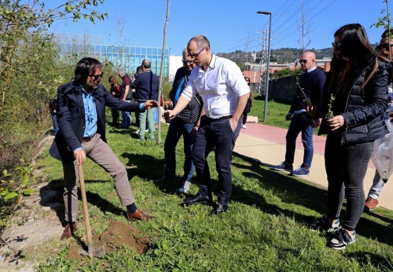 "Ninguém abate árvores porque gosta"