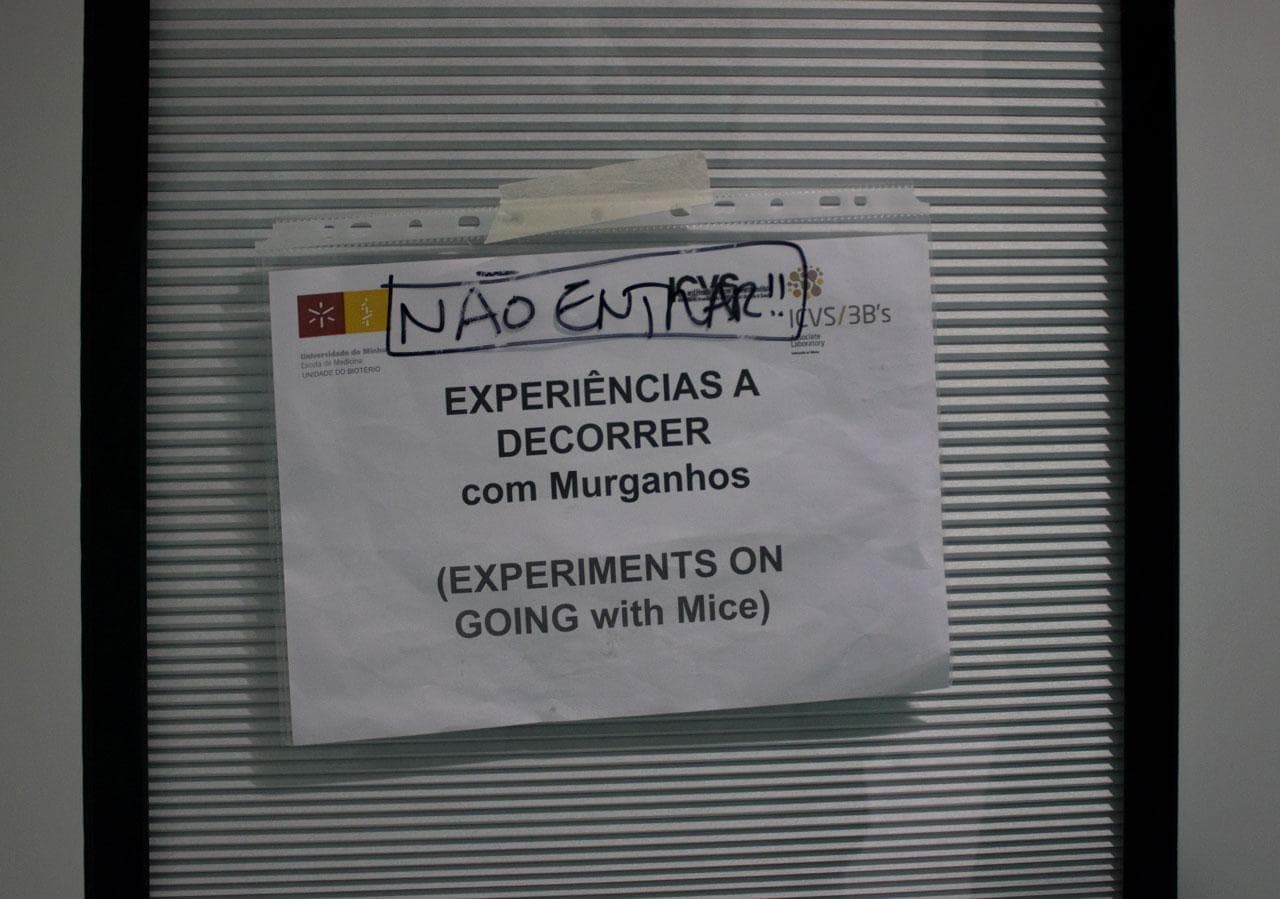 Investigação animal. UMinho assina Acordo de Transparência