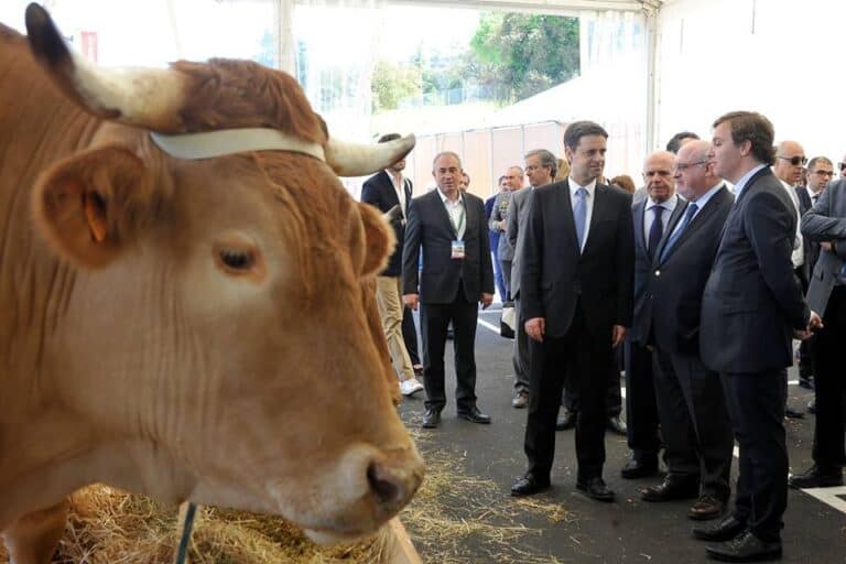 À 51ª edição, Agro "cresceu a todos os níveis"