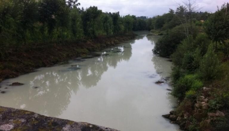 Domingos Bragança defende que CMG fiscalize rio Ave