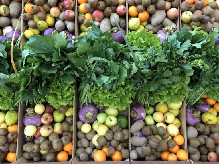 Fruta Feia: perfeita imperfeição