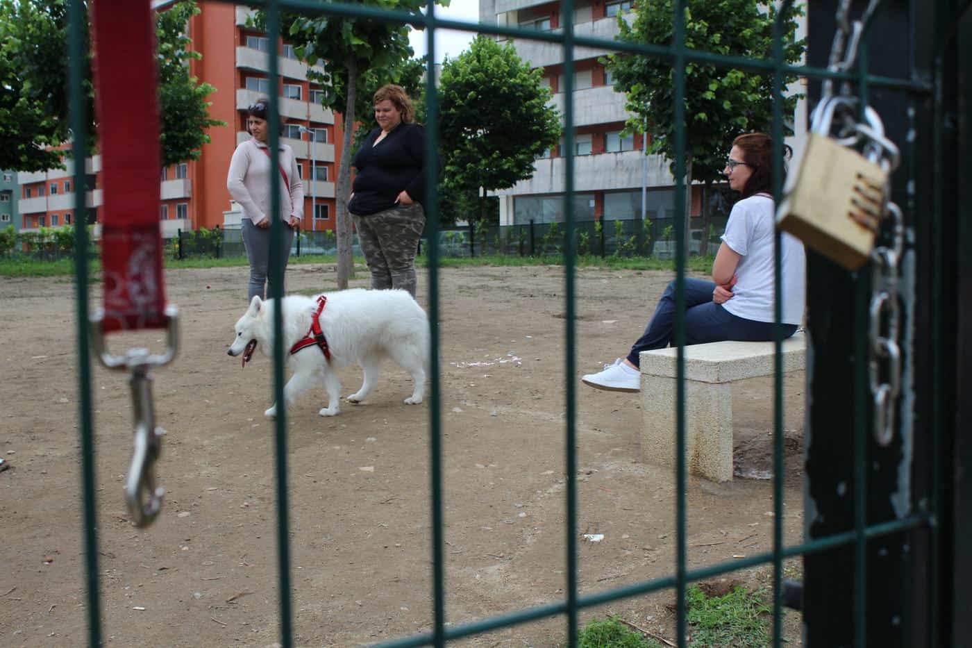 Bastaram duas horas para fechar parque canino das Lameiras