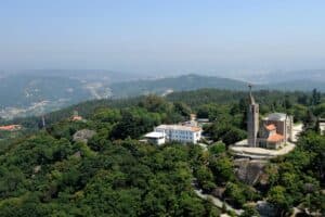 Guimarães já iniciou limpeza da floresta pós incêndios