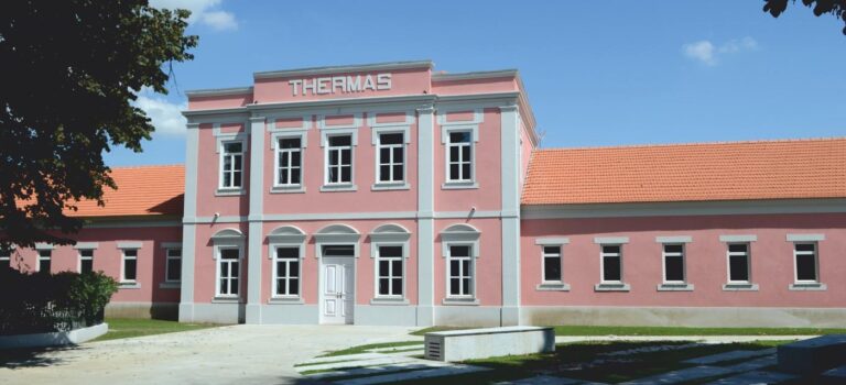 "A melhor opção é entregar a Taipas Turitermas ao privado"