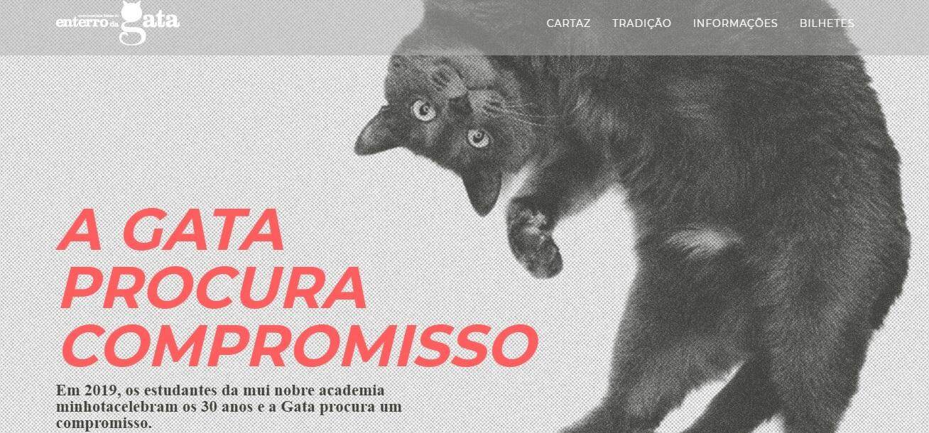 Em 2019 'A Gata procura compromisso'