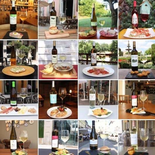 Verde Cool arranca esta 5ª feira em 45 estabelecimentos