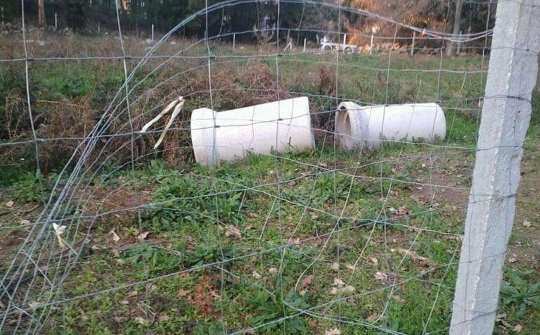 JS denuncia alegado início de construção nas Sete Fontes