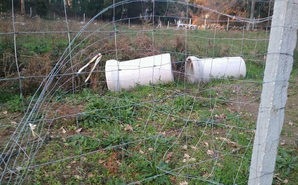 JS denuncia alegado início de construção nas Sete Fontes