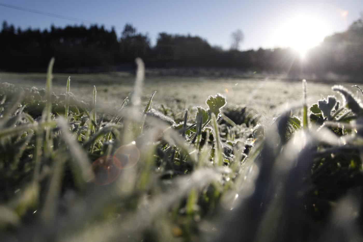 Sol na primeira semana de 2019
