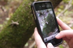 Desafio mundial convida vimaranenses a fotografar natureza