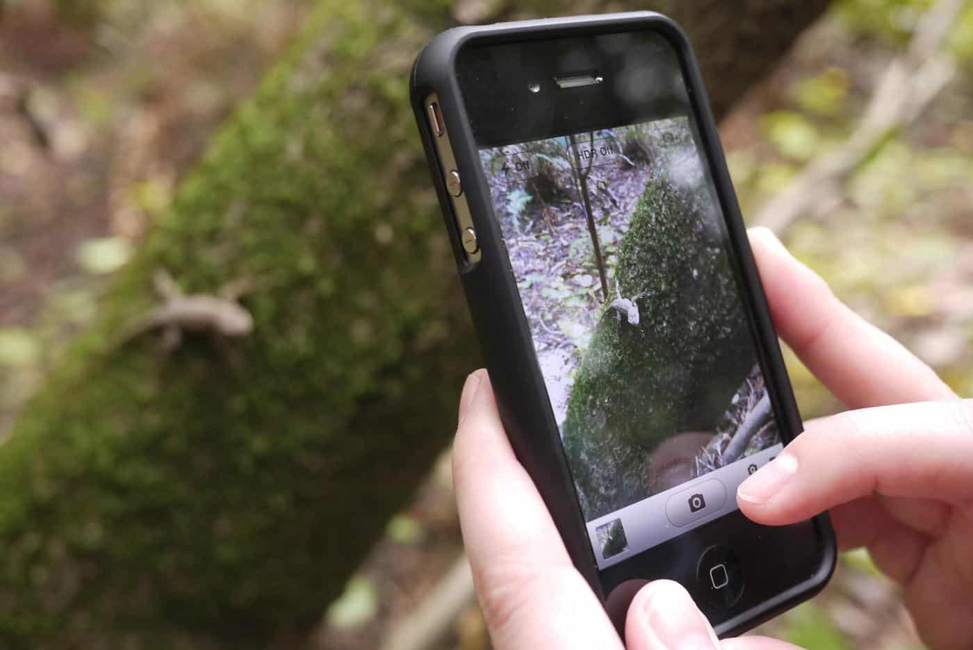 Desafio mundial convida vimaranenses a fotografar natureza