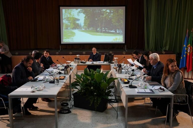 CMG: nova ligação une rotundas do Pinheiro Manso e de Mouril