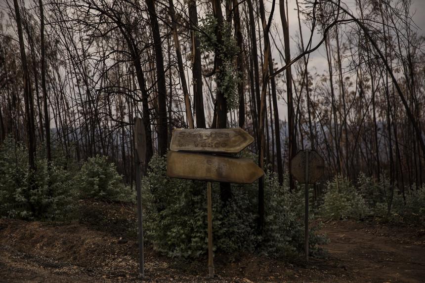 Aldeias em risco de incêndio vão ter oficial de segurança