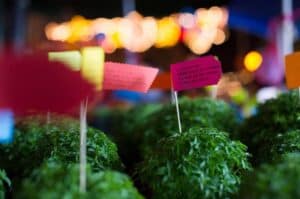 Associação de Festas São João de Braga pede sugestões