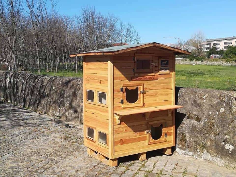 Braga tem a primeira "Casa dos Gatos" em S.Victor