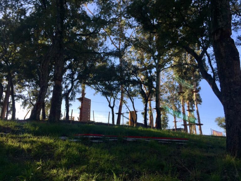 Parque Aventura do Monte Picoto abre em Março de 2019