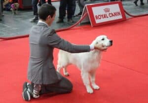 Altice FORUM Braga acolhe Expo Animal