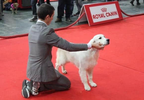 Altice FORUM Braga acolhe Expo Animal