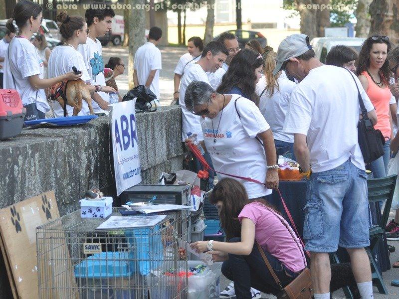 ABRA promove adopção responsável no centro de Braga