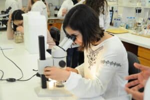 1300 inscritos na 2ª edição do "Open Weekend"