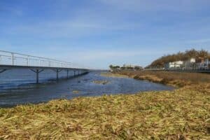 PCP exige resposta sobre adiamento de dragagens em Esposende