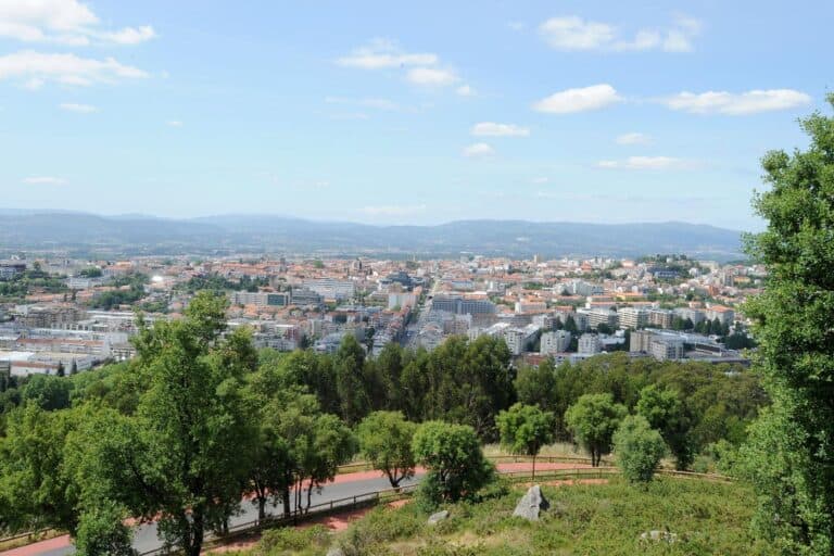 Fundo Ambiental financia arborização do Monte Picoto